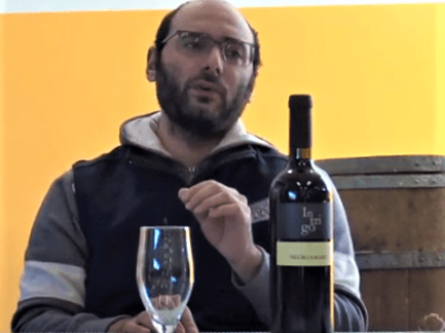 Degustazione Negramaro Cantine del Cerro